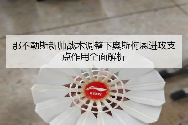 那不勒斯新帅战术调整下奥斯梅恩进攻支点作用全面解析 | kaiyun